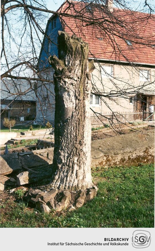 Grabstein auf dem Friedhof in Bühlau