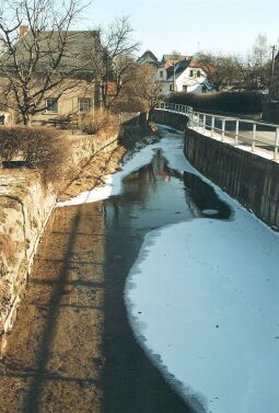 Bild: Dorfbach in Cunewalde