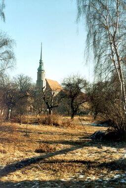 Bild: Blick zur Cunewalder Kirche