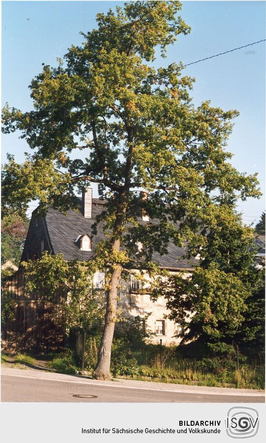 Eiche vor einem Hammerunterwiesenthaler Wohnhaus