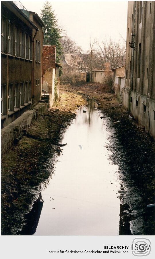 Elster in Hoyerswerda