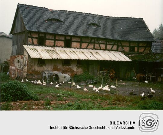 Entenzucht auf einem Schweinsburger Bauernhof