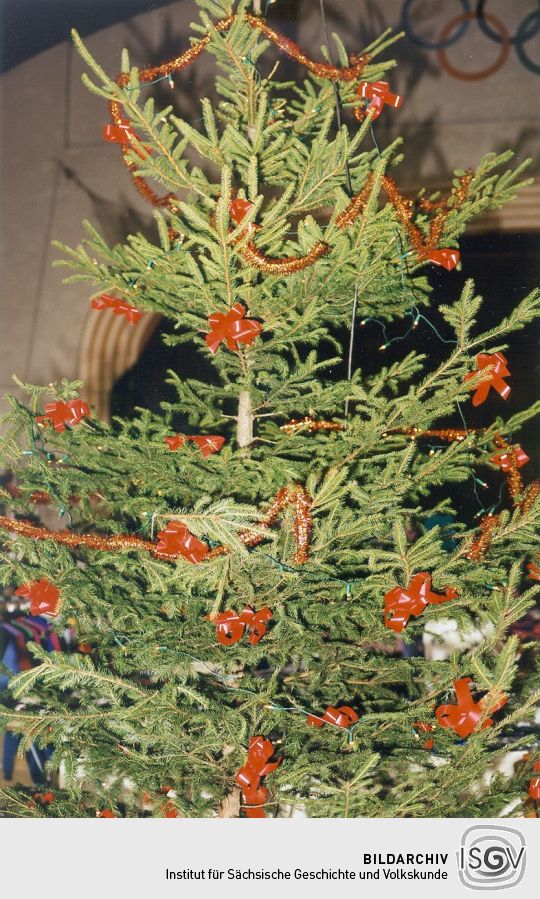 Weihnachtsbaum in Kirchau