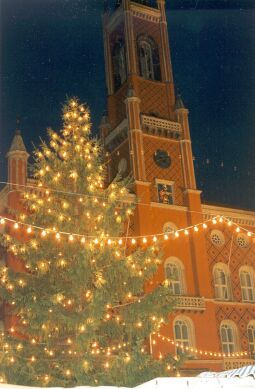 Bild: Weihnachtsbaum vor dem Kamenzer Rathaus