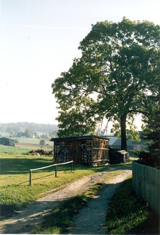 Holzstapel in Bergen