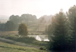 Bild: Dorfteich in Raun