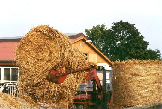 Christgrüner Bauerngenossenschaft bem Einbringen der Strohrollen