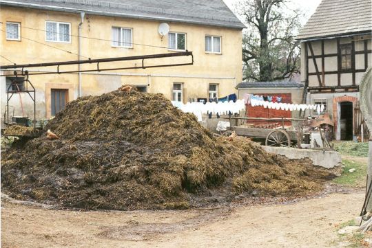 Ansicht eines Bauernhofs in Königswalde