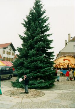 Bild: Christbaum auf dem Weihnachtsmarkt in Wittichenau