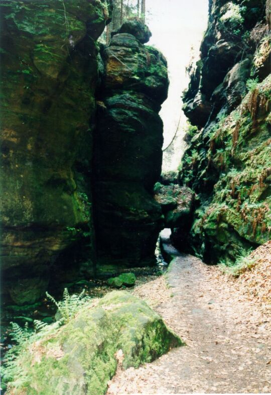 Uttewalder Grund bei Wehlen in der Sächsischen Schweiz