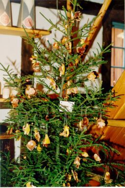 Bild: Weihnachtsbaum im Museum "Alte Pfefferküchlerei" in Weißenberg