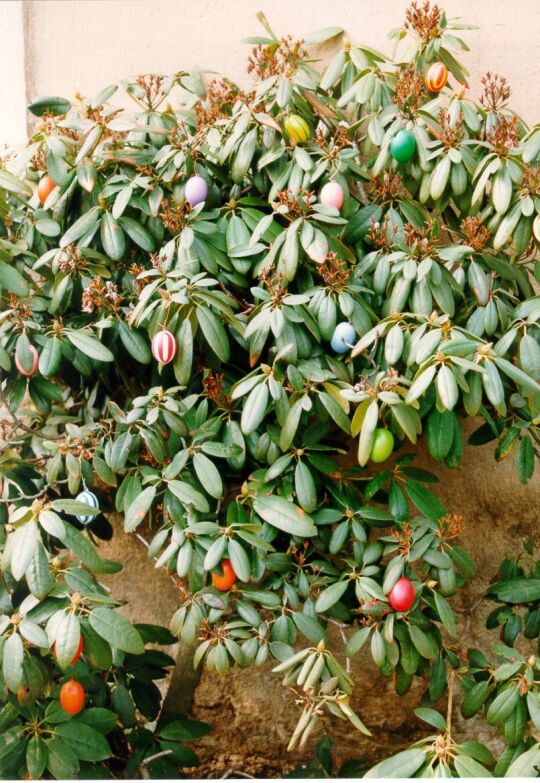 Osterschmuck in Schönfeld