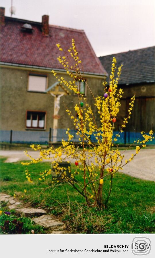 Osterbaum in Horka