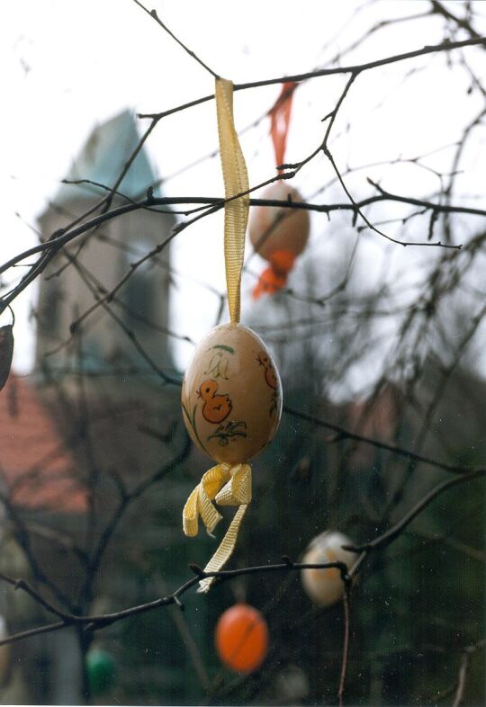 Osterbaum in Schönfeld