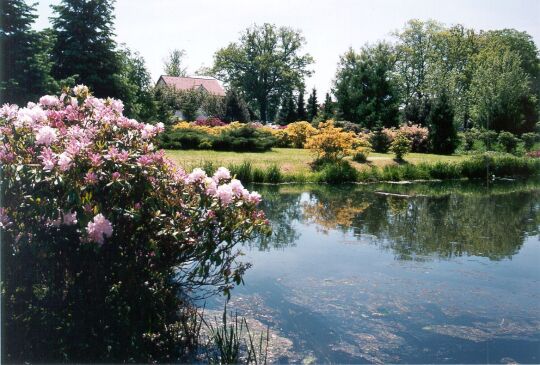 Rhododendron-Park in Gablenz