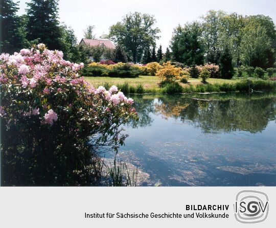 Rhododendron-Park in Gablenz