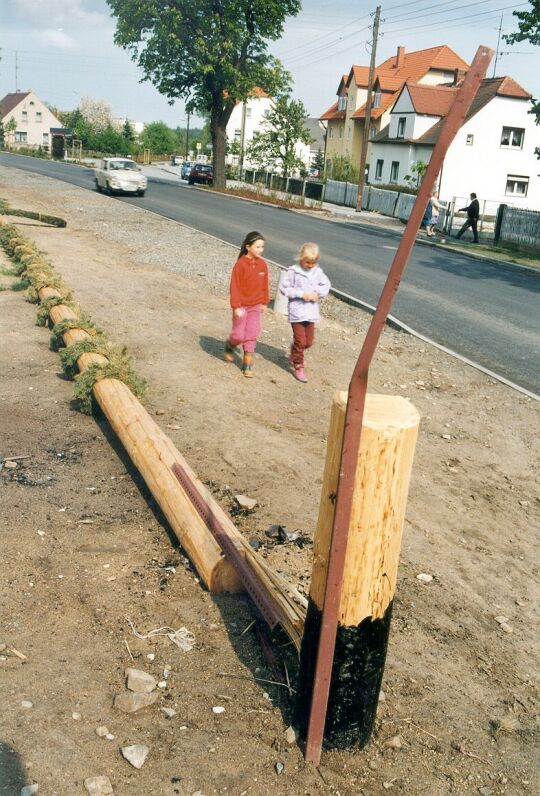 Umgesägter Maibaum in Oßling