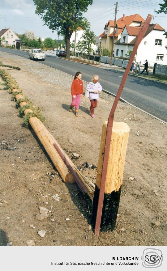 Umgesägter Maibaum in Oßling