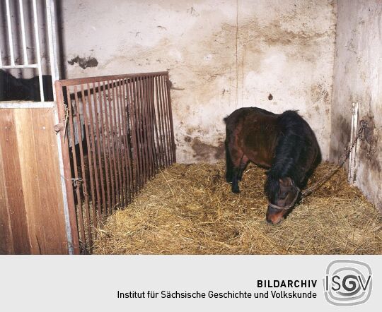 Pferdestall des Elstraer Rittergutes