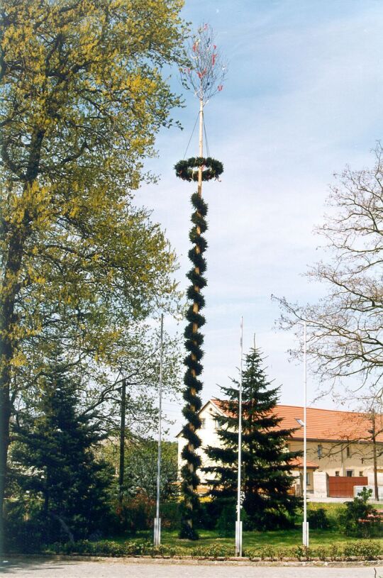 Maibaum in Zschornau