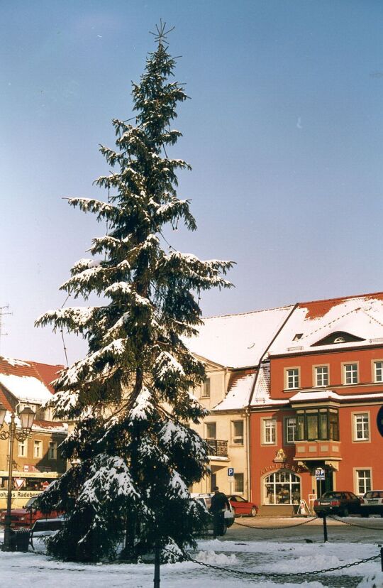 Königsbrücker Markt