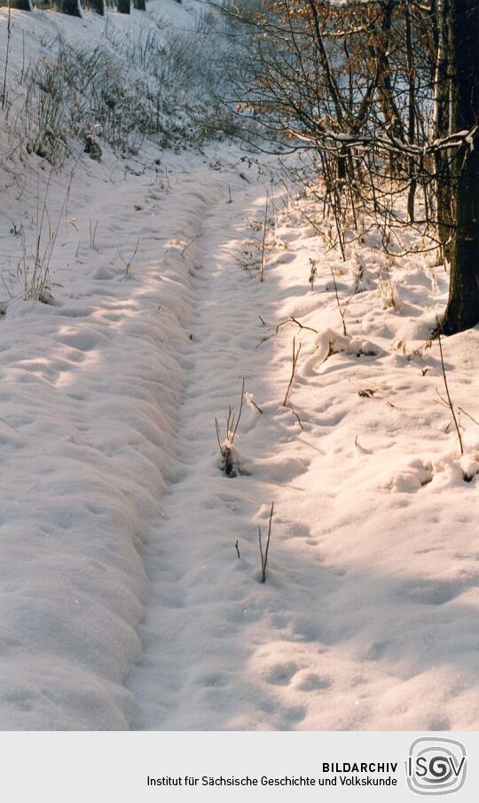 Alter Hohlweg bei Koitzsch