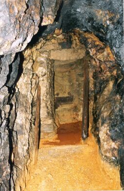 Bild: Ortsansicht in Liegau-Augustusbad