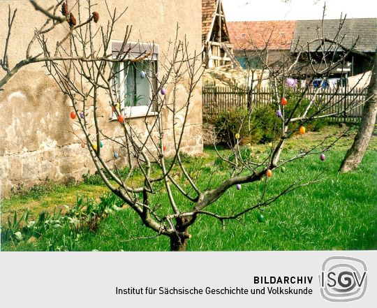 Osterbäumchen in einem Würschnitzer Garten