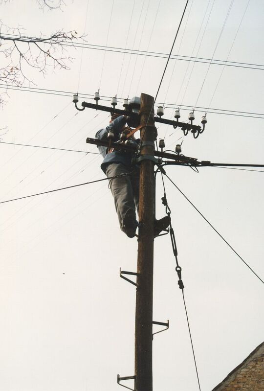 Telegraphenmast in Strauch