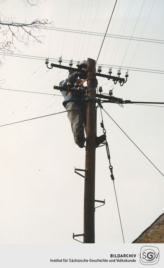 Telegraphenmast in Strauch