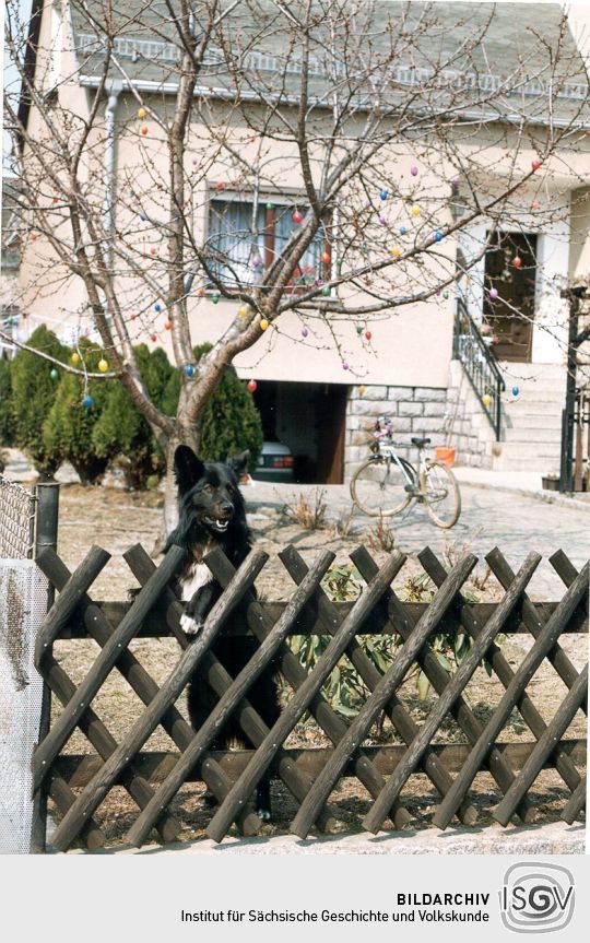 Wohngrundstück in Dobra