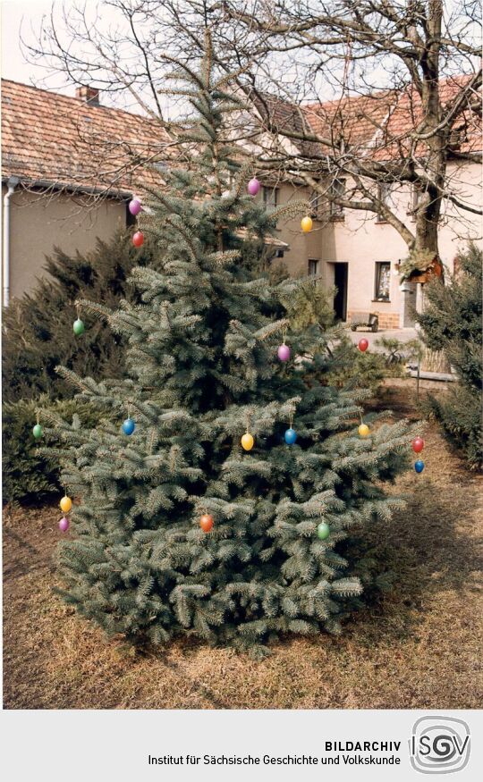 Osterschmuck an einer Blautanne in Strauch