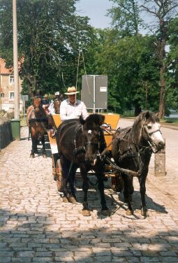 Bild: Stand für Kutschfahrten in Moritzburg