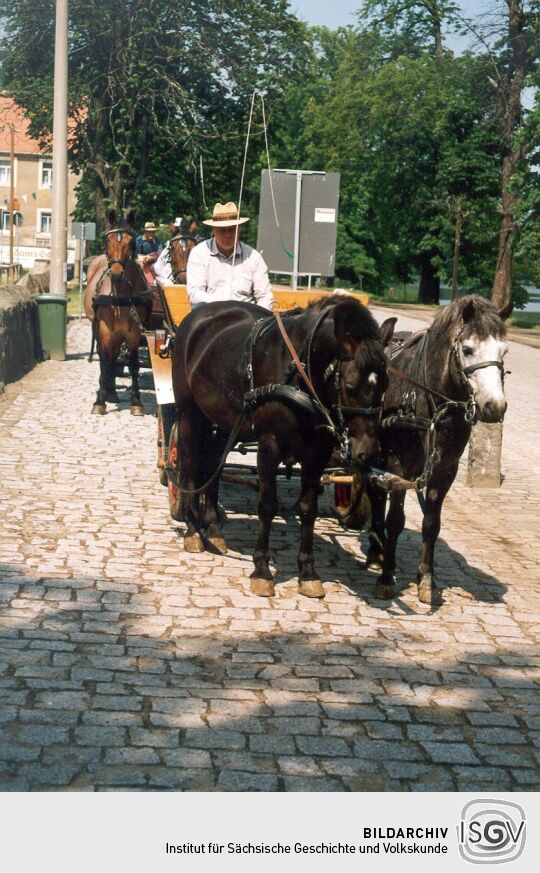 Stand für Kutschfahrten in Moritzburg