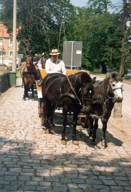 Bild: Stand für Kutschfahrten in Moritzburg