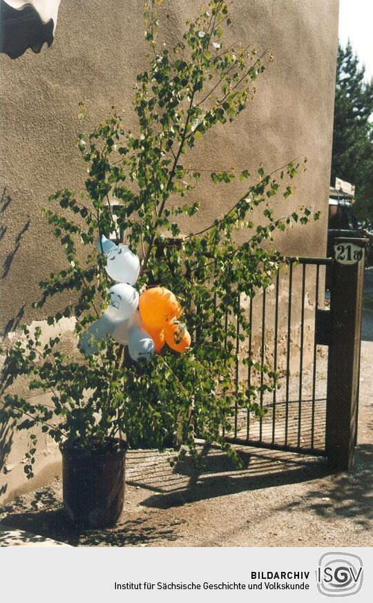 Geschmückter Geschäftseingang in Moritzburg