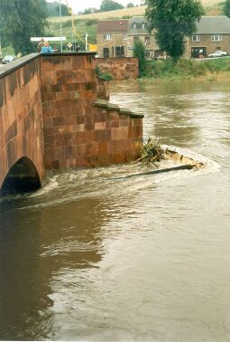 Bild: Hochwasser in Rochlitz