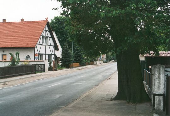 Dorfstraße mit Baum in Niesky