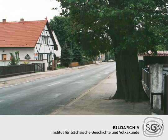 Dorfstraße mit Baum in Niesky