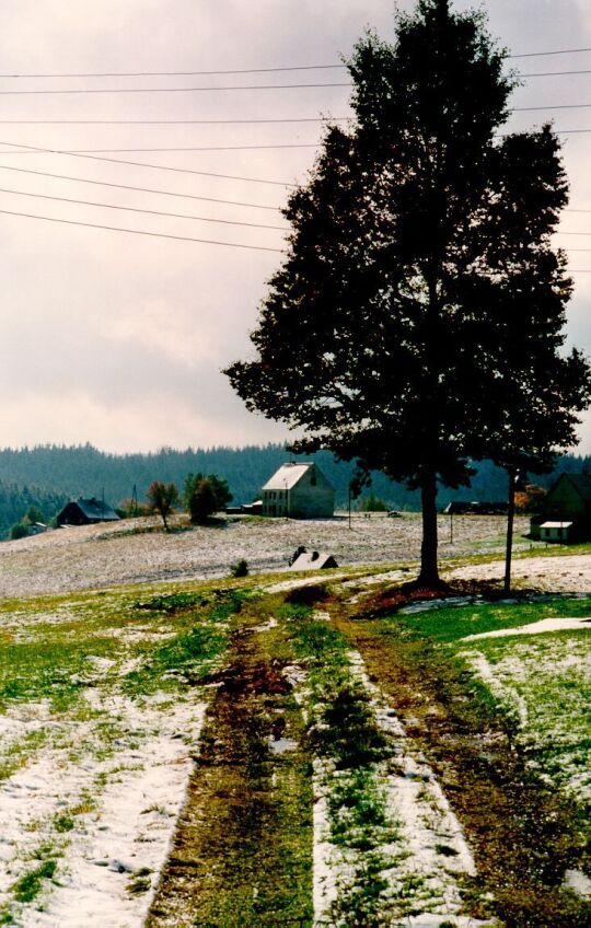 Blick zu Siedlungshäusern in Kühnhaide