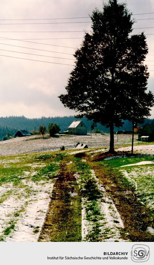 Blick zu Siedlungshäusern in Kühnhaide