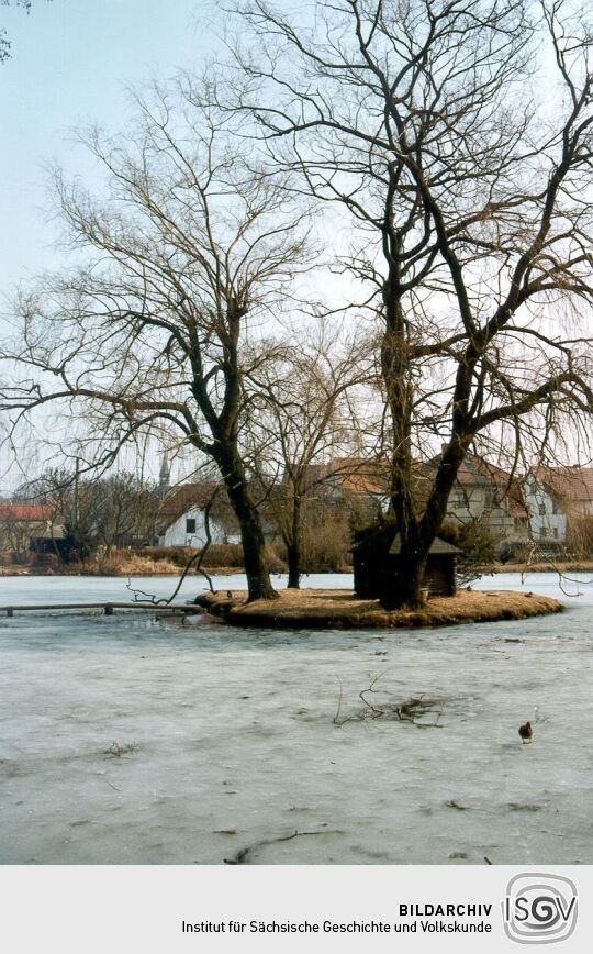 Dorfteich in Schönfeld