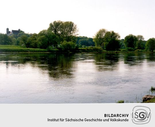 Blick über die Elbe nach Strehla