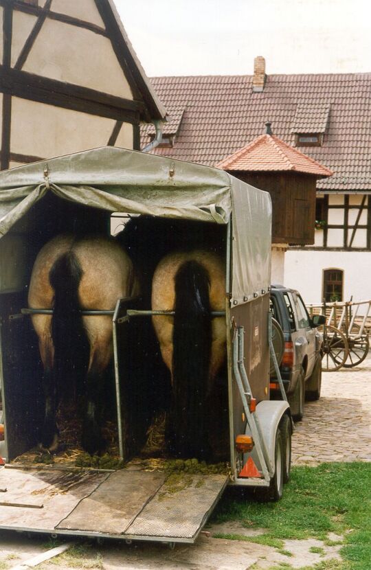 Pferdetransport im Neukirchener Volkskundemuseum