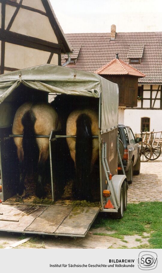 Pferdetransport im Neukirchener Volkskundemuseum