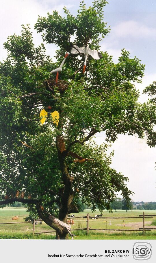 Storchatrappe auf einem Baum beim Volkskundemuseum Neukirch