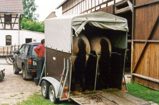 Pferdetransport im Neukirchener Volkskundemuseum