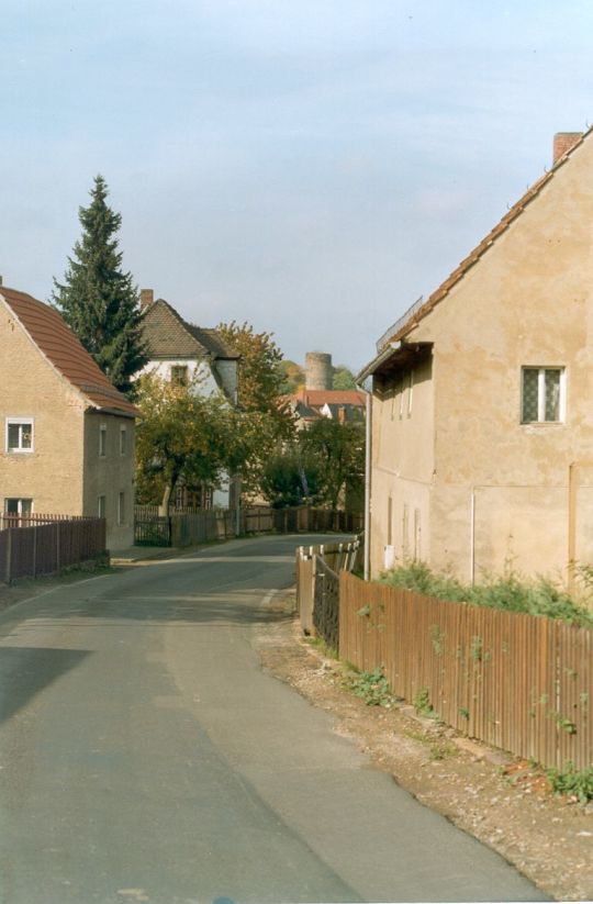 Blick zur Kohrener Burgruine