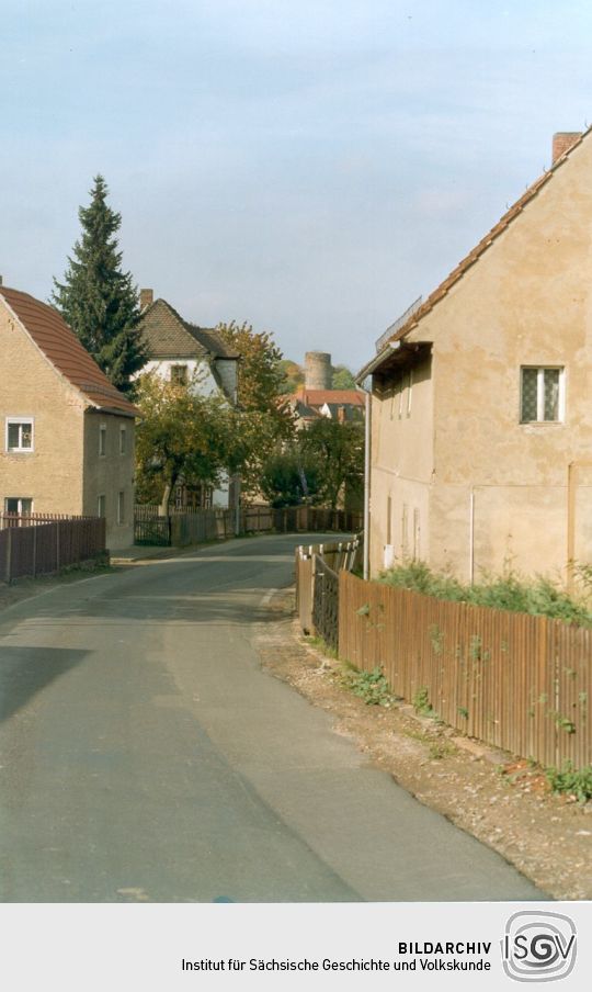 Blick zur Kohrener Burgruine