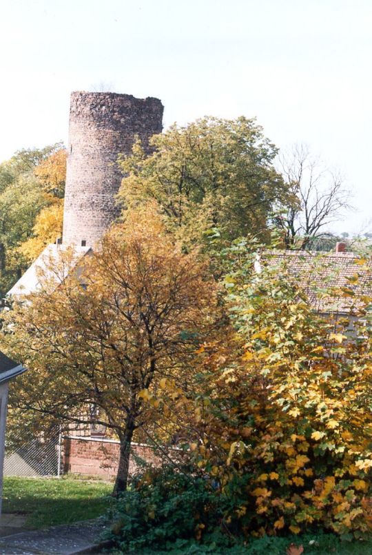 Blick zur Kohrener Burgruine